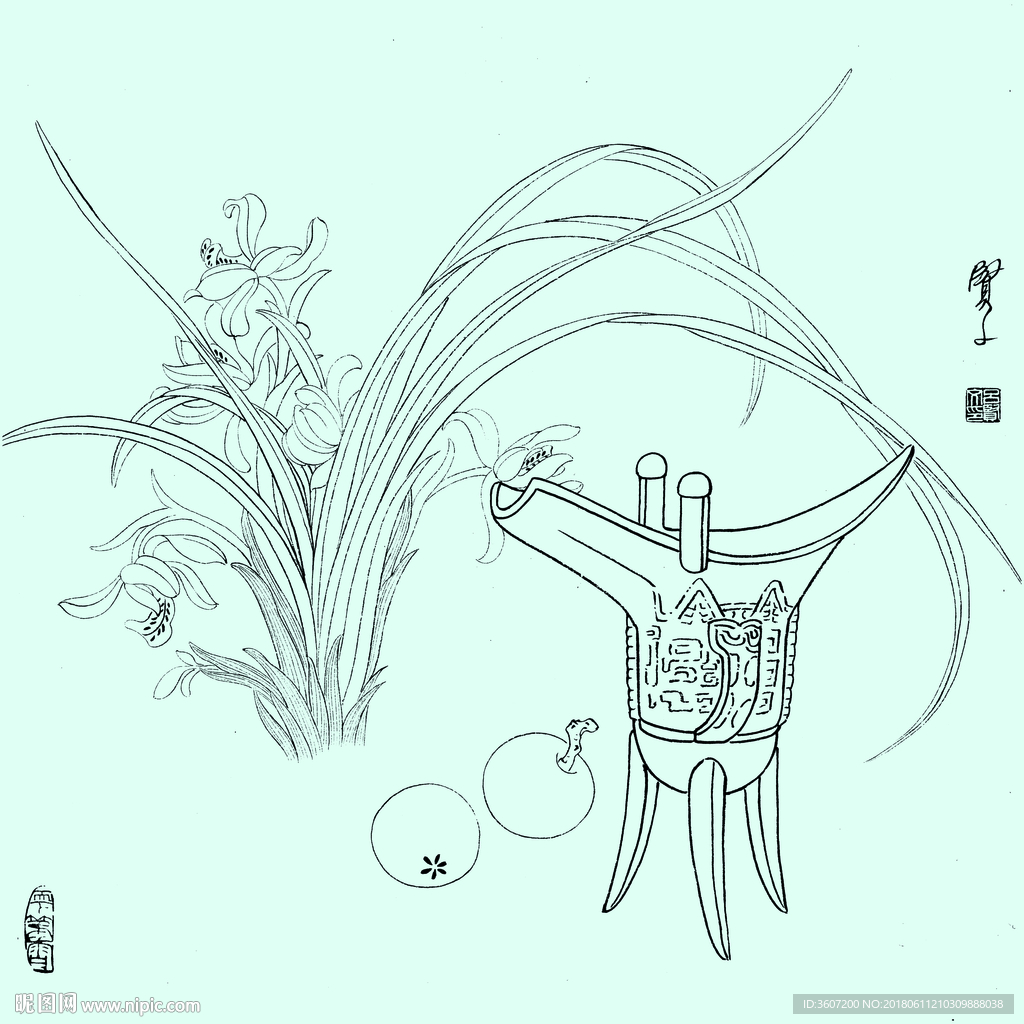 花鸟线描 花鸟白描 花鸟素描