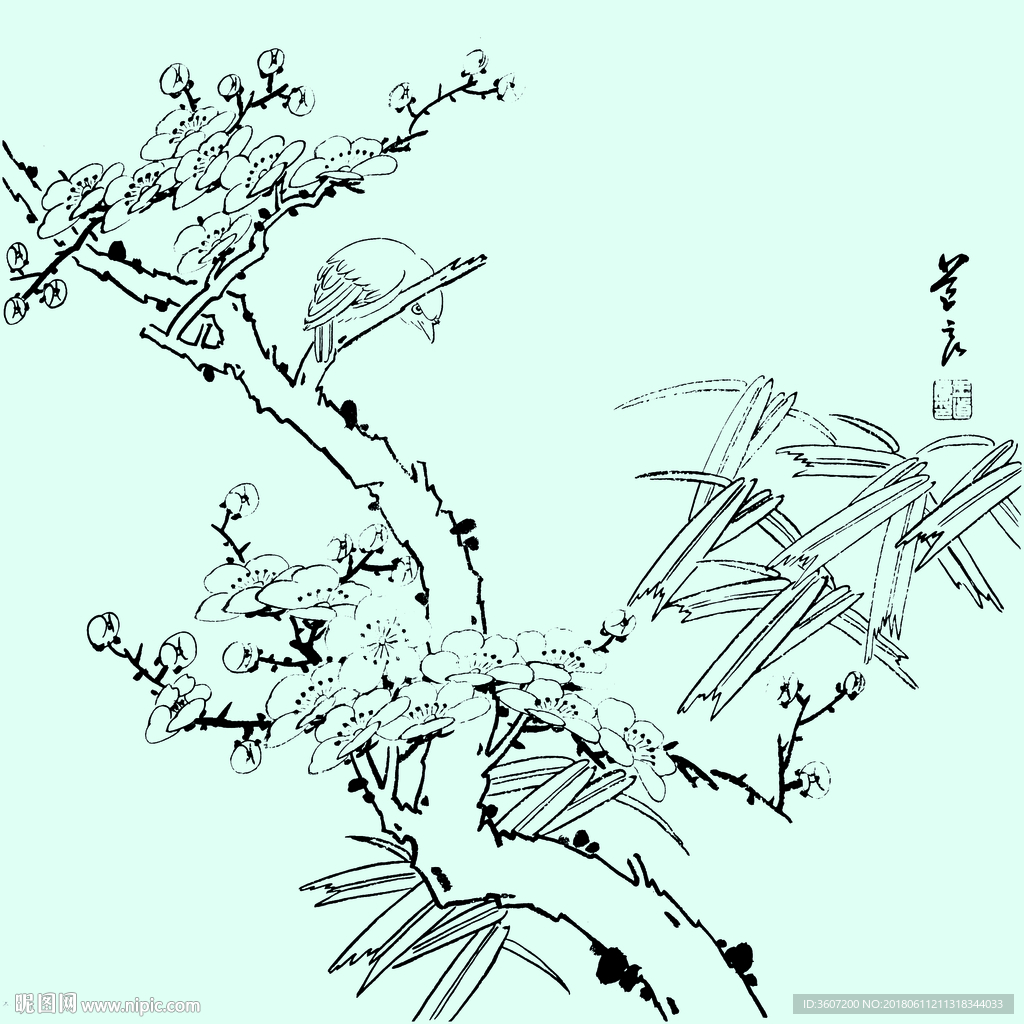 花鸟线描 花鸟白描 花鸟素描