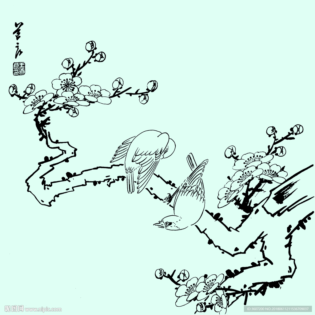 花鸟线描 花鸟白描 花鸟素描