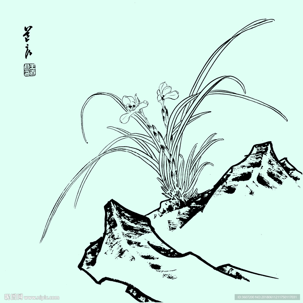 花鸟线描 花鸟白描 花鸟素描