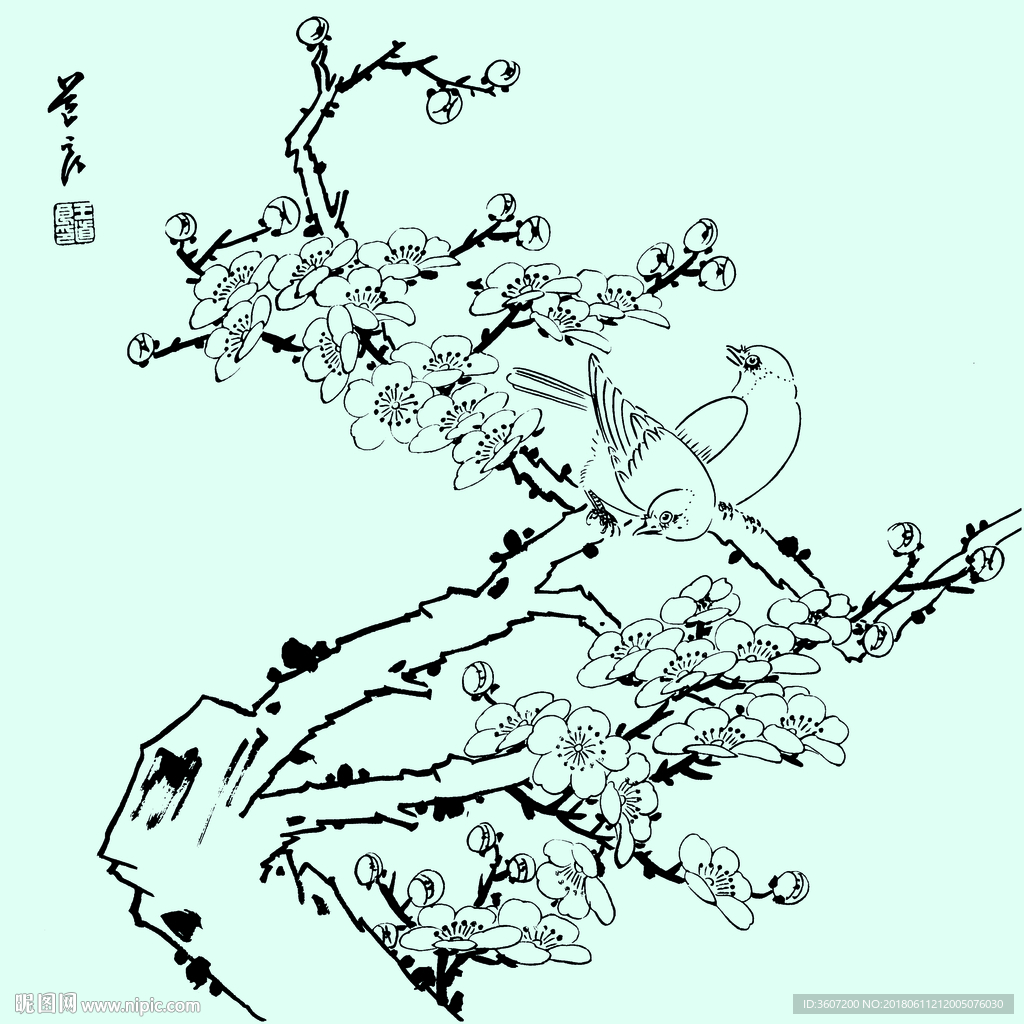 花鸟线描 花鸟白描 花鸟素描