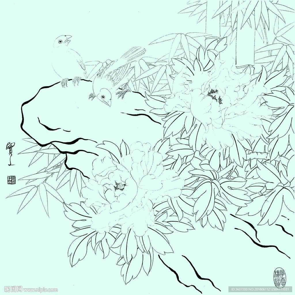 花鸟线描 花鸟白描 花鸟素描