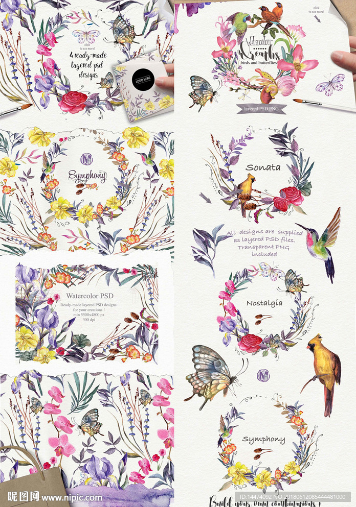 手绘水彩植物花朵