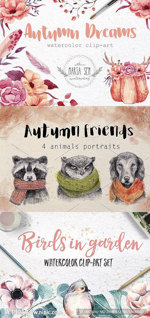 手绘水彩植物花朵集合