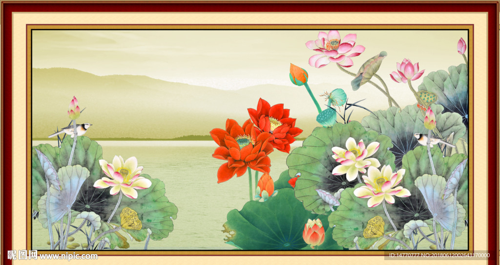 国画荷花