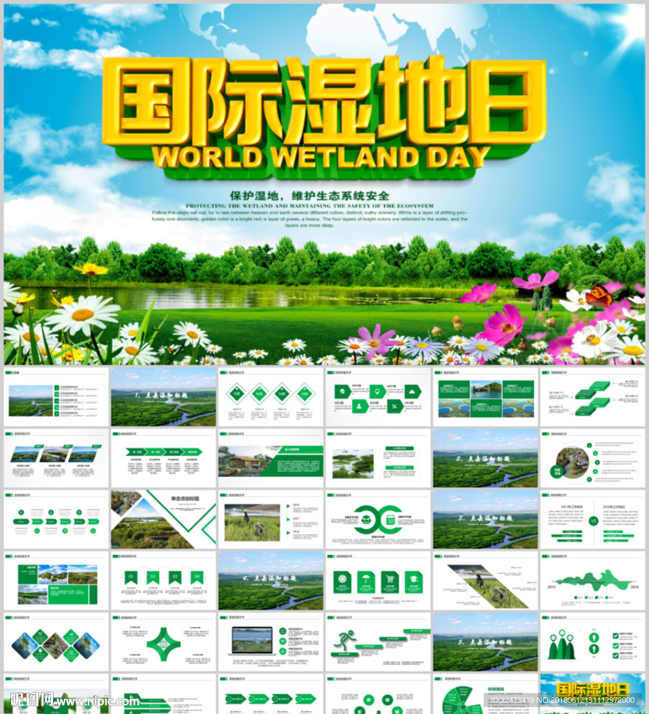 世界湿地森林日PPT