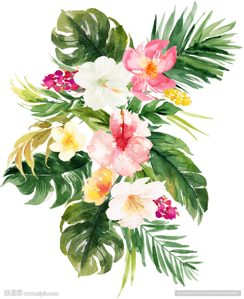 花卉