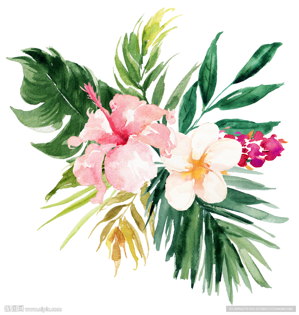 花卉