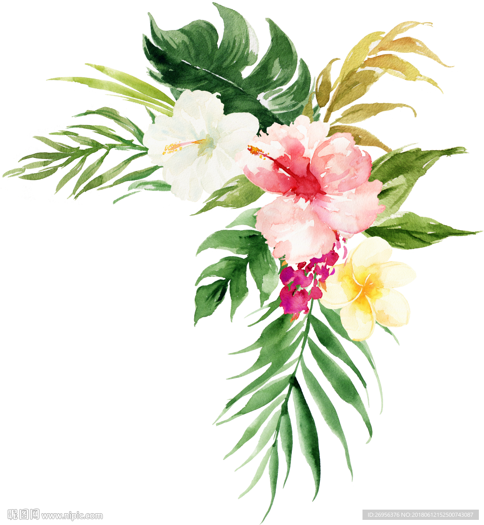 花卉