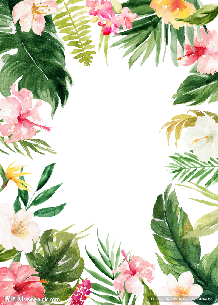 花卉 叶子