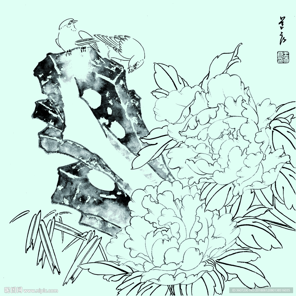 花鸟线描 花鸟白描 花鸟素描