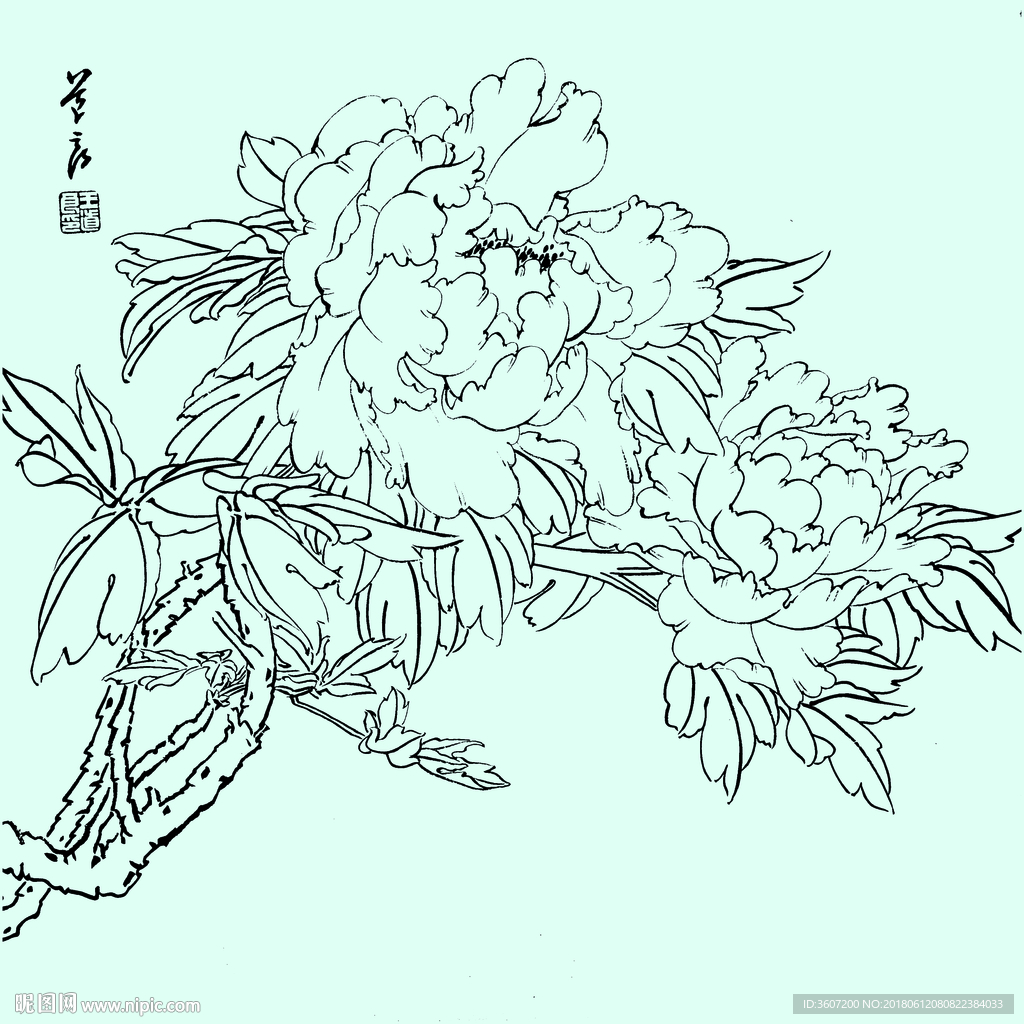 花鸟线描 花鸟白描 花鸟素描