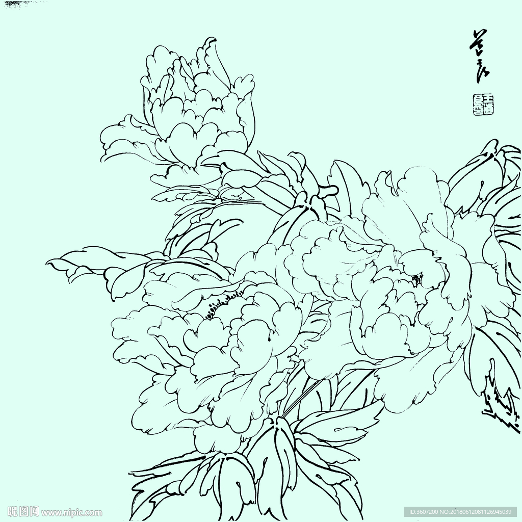 花鸟线描 花鸟白描 花鸟素描