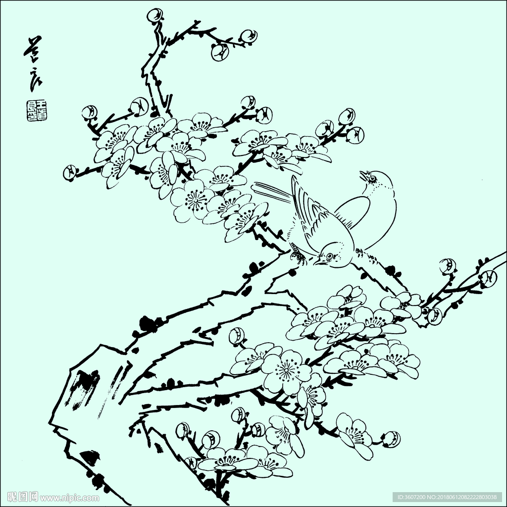 花鸟线描 花鸟白描 花鸟素描