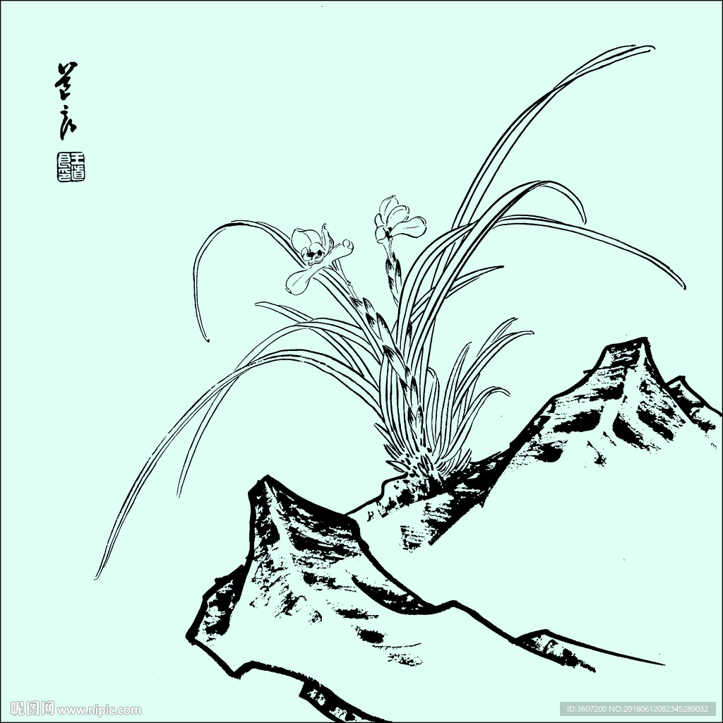 花鸟线描 花鸟白描 花鸟素描