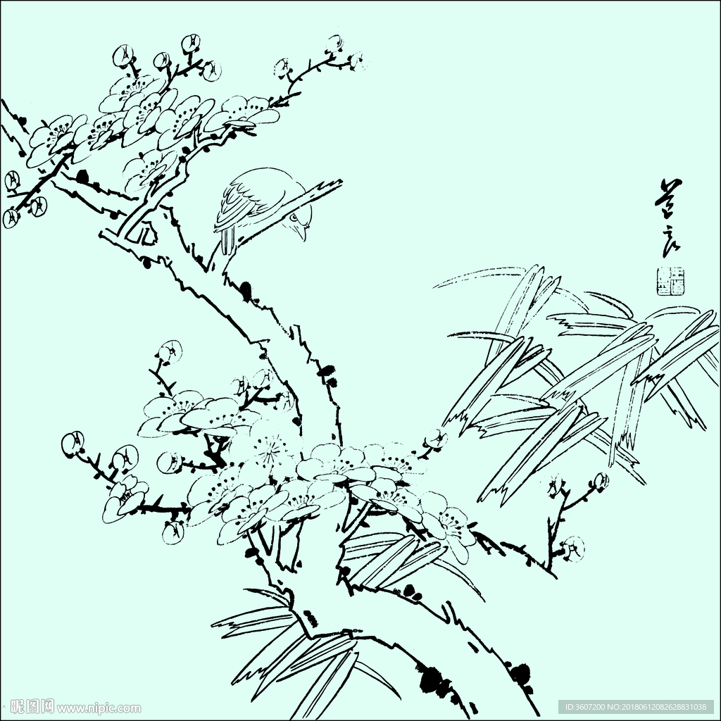 花鸟线描 花鸟白描 花鸟素描