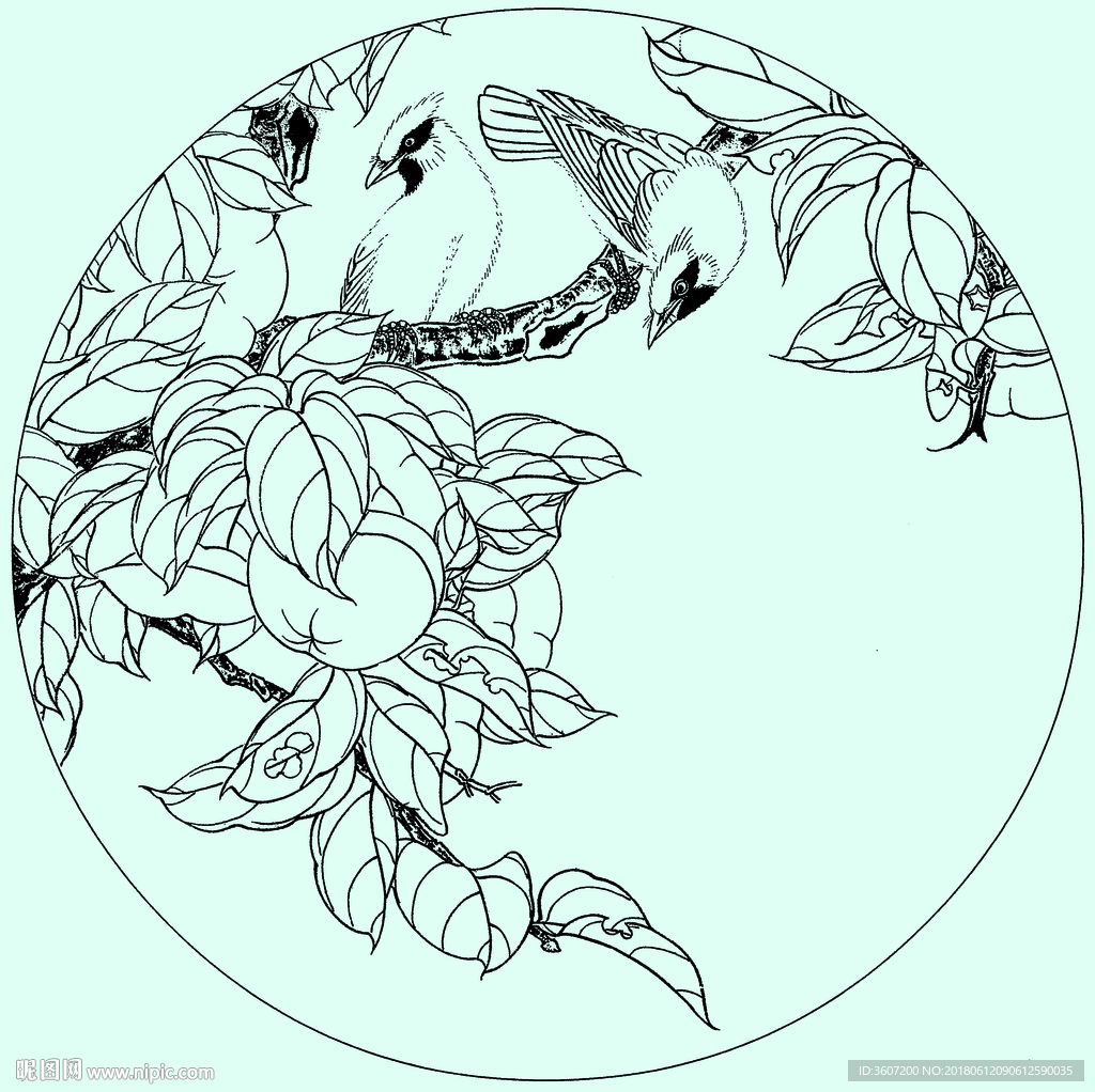 花鸟线描 花鸟白描 花鸟素描