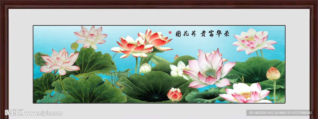 荷花