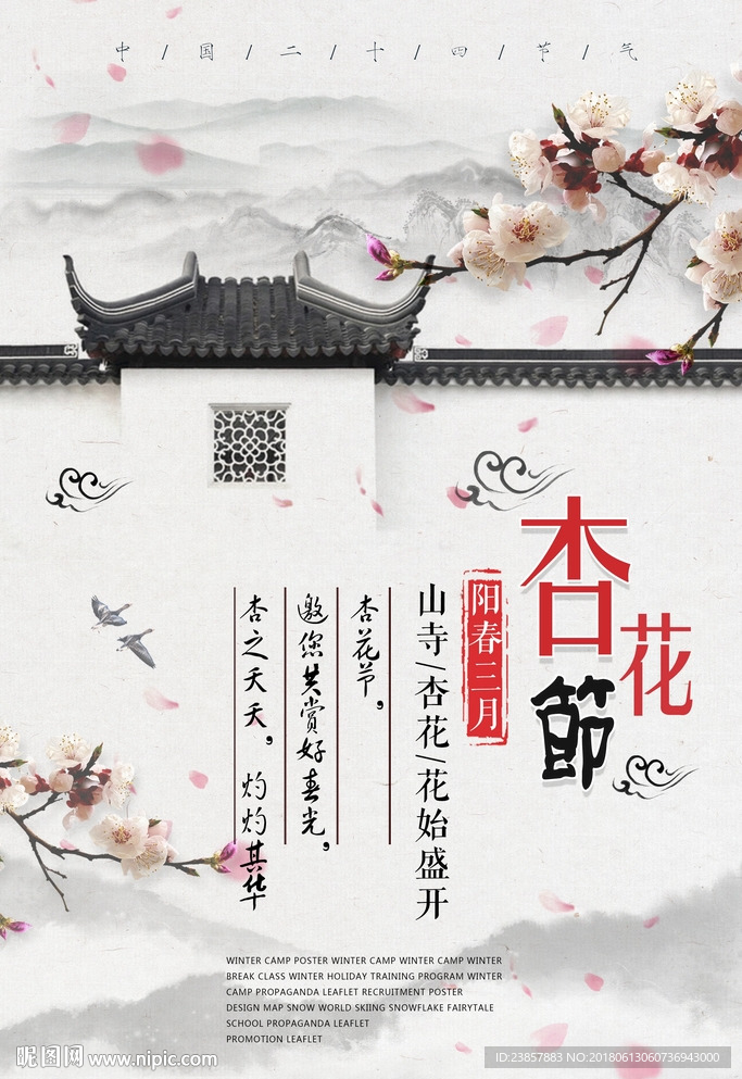 杏花节海报图片