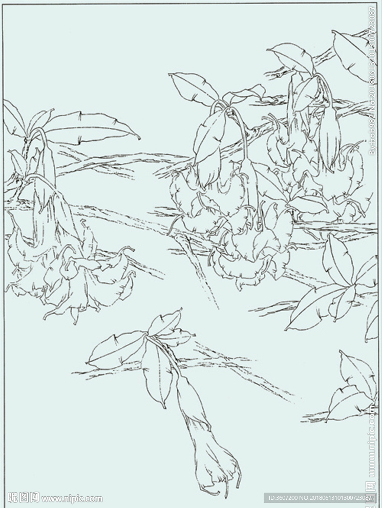 曼陀罗线描 曼陀罗白描 曼陀罗