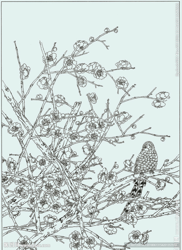 梅花线描 梅花白描 梅花素描