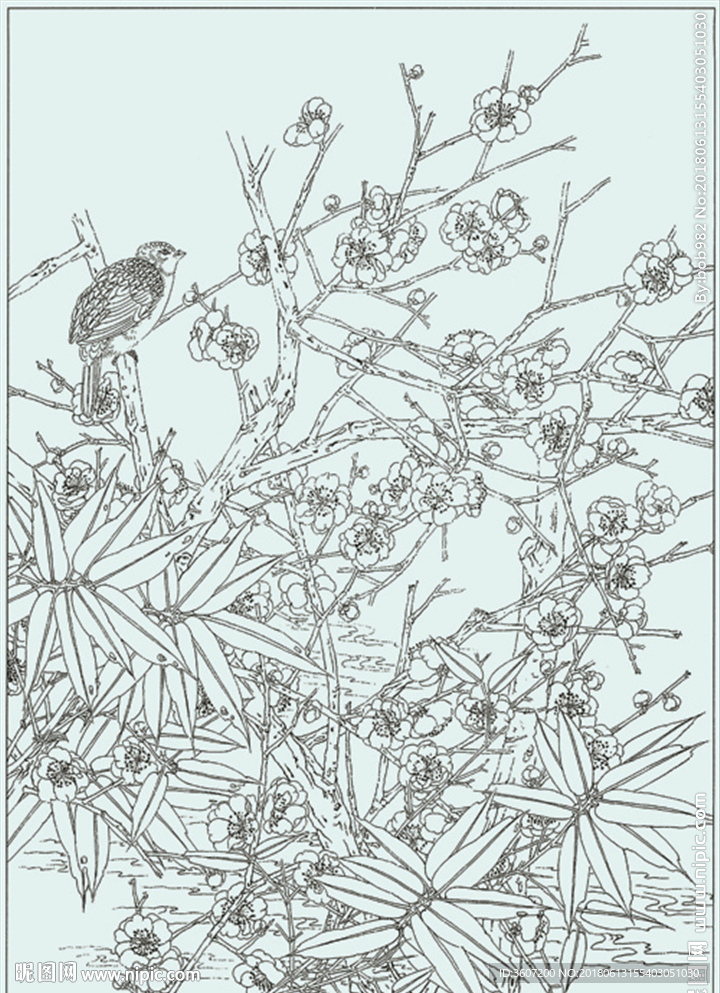 梅花线描 梅花白描 梅花素描