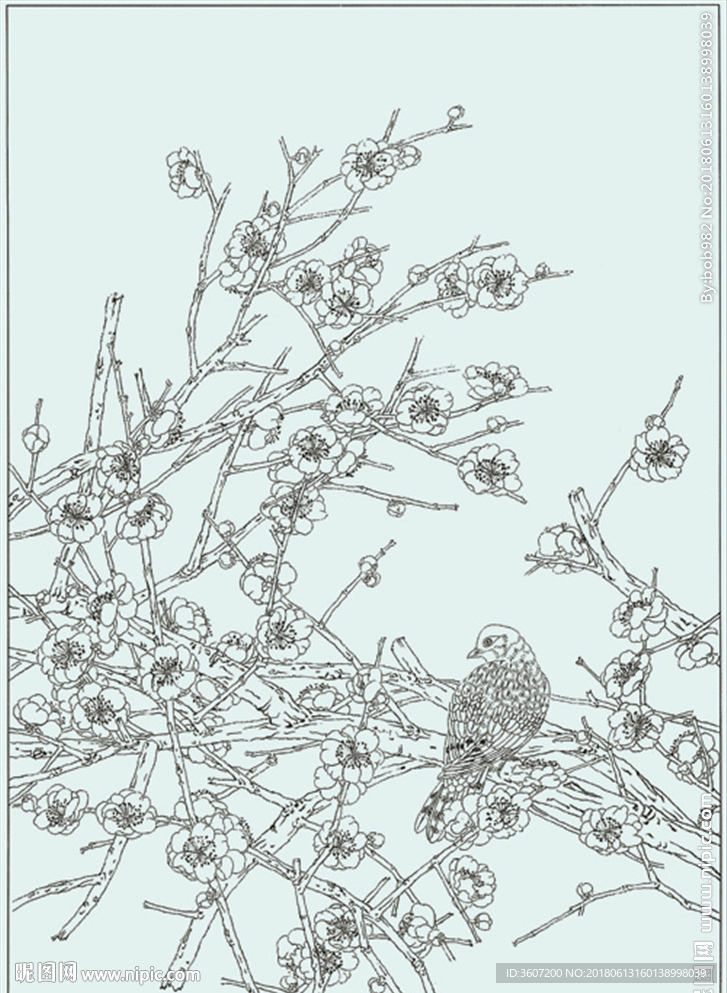 梅花线描 梅花白描 梅花素描