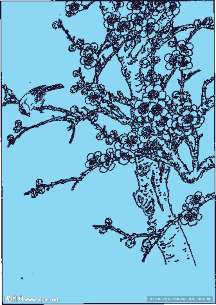 梅花线描 梅花白描 梅花素描
