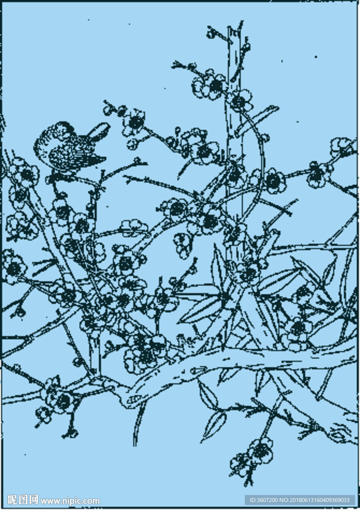 梅花线描 梅花白描 梅花素描