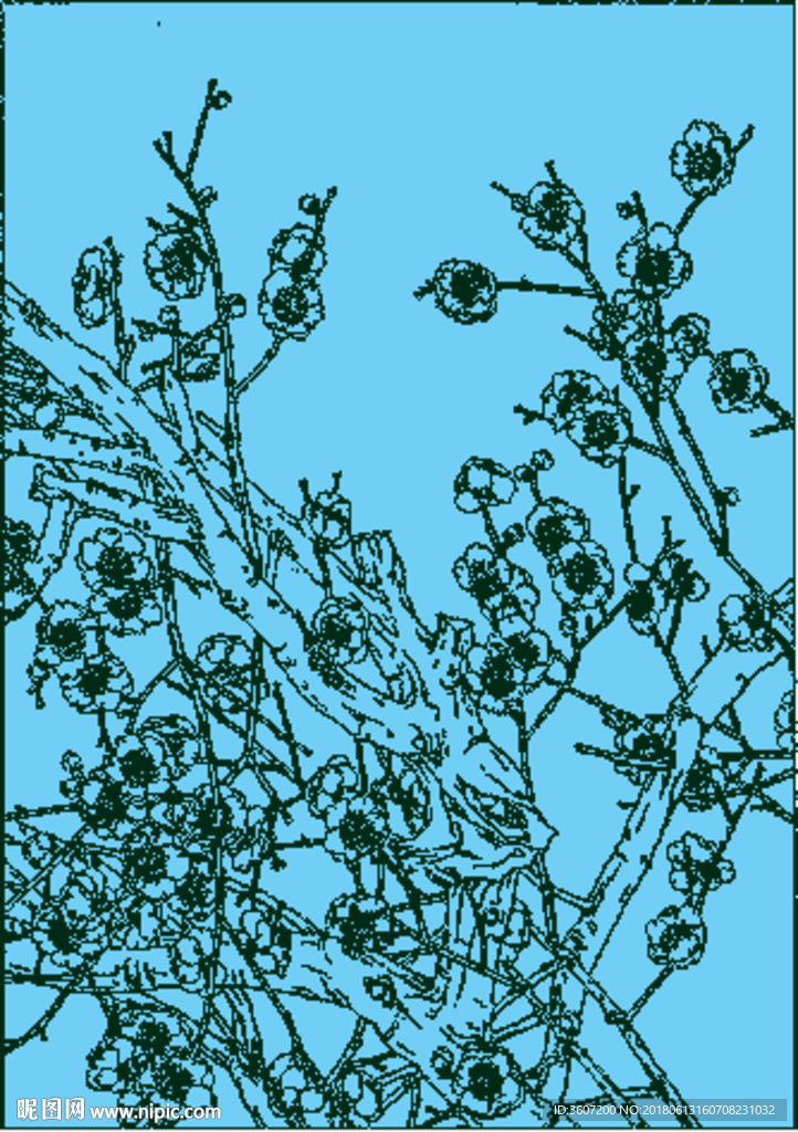 梅花线描 梅花白描 梅花素描