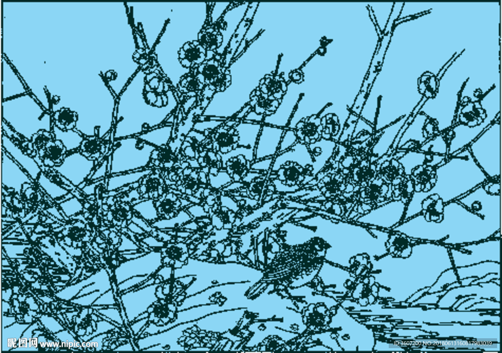 梅花线描 梅花白描 梅花素描