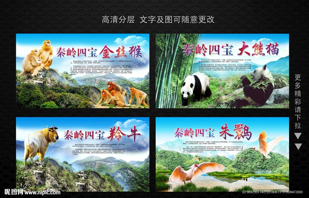 秦岭四宝