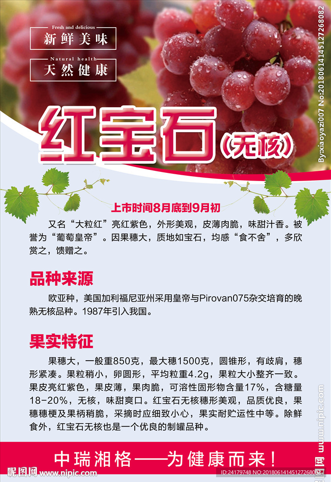 红宝石葡萄红葡萄品种详细介绍