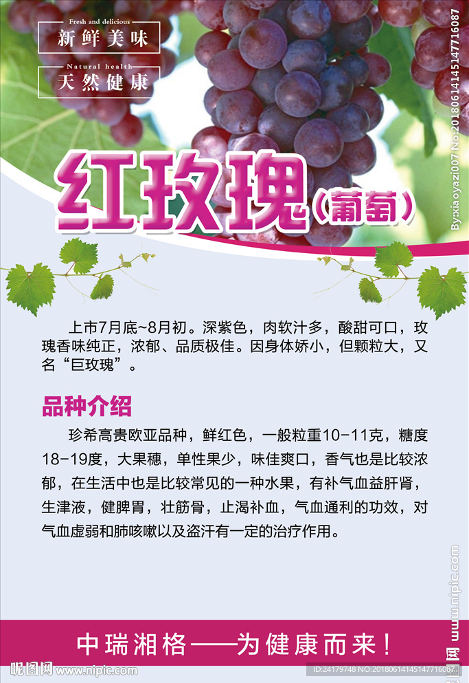 红玫瑰葡萄红葡萄品种详细介绍