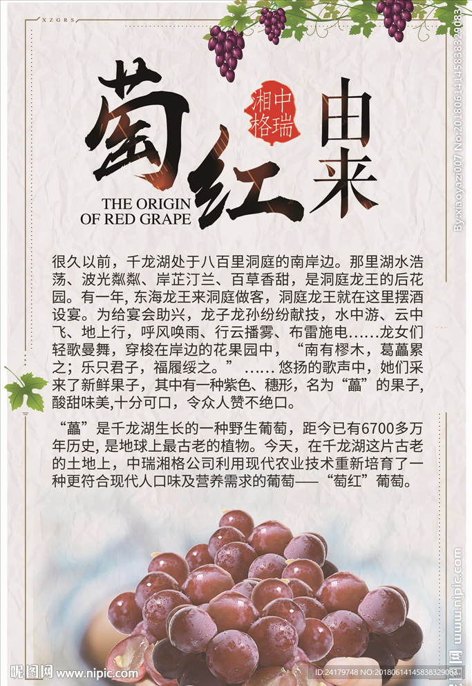 葡萄由来的介绍图海报