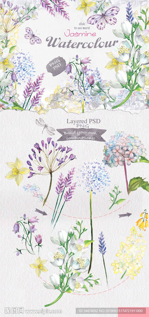 水彩手绘花卉茉莉花薰衣草