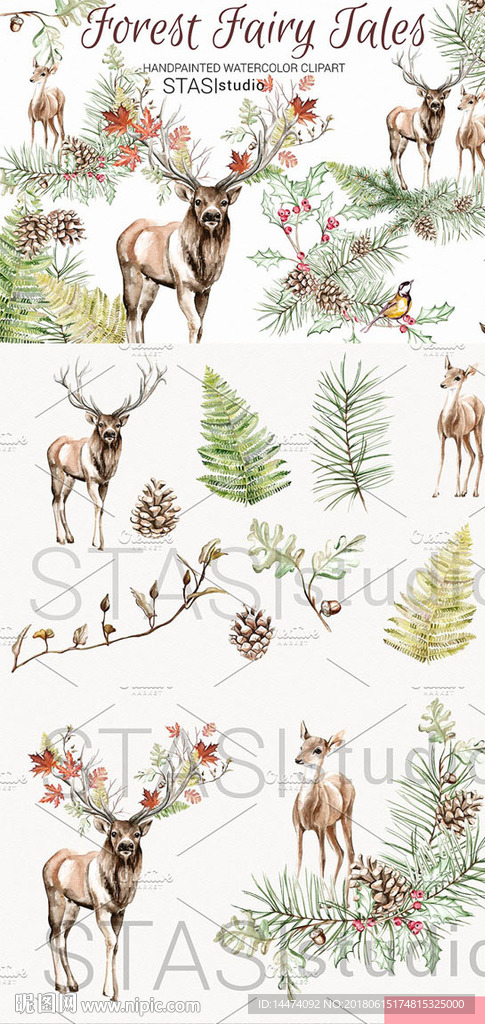 水彩森林鹿松树叶子松果插画