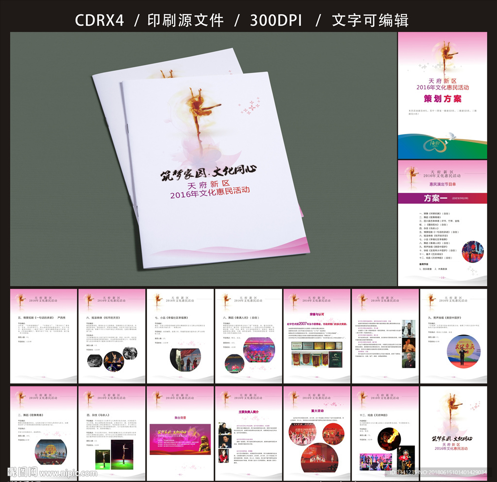 天府新区方案一 平面图
