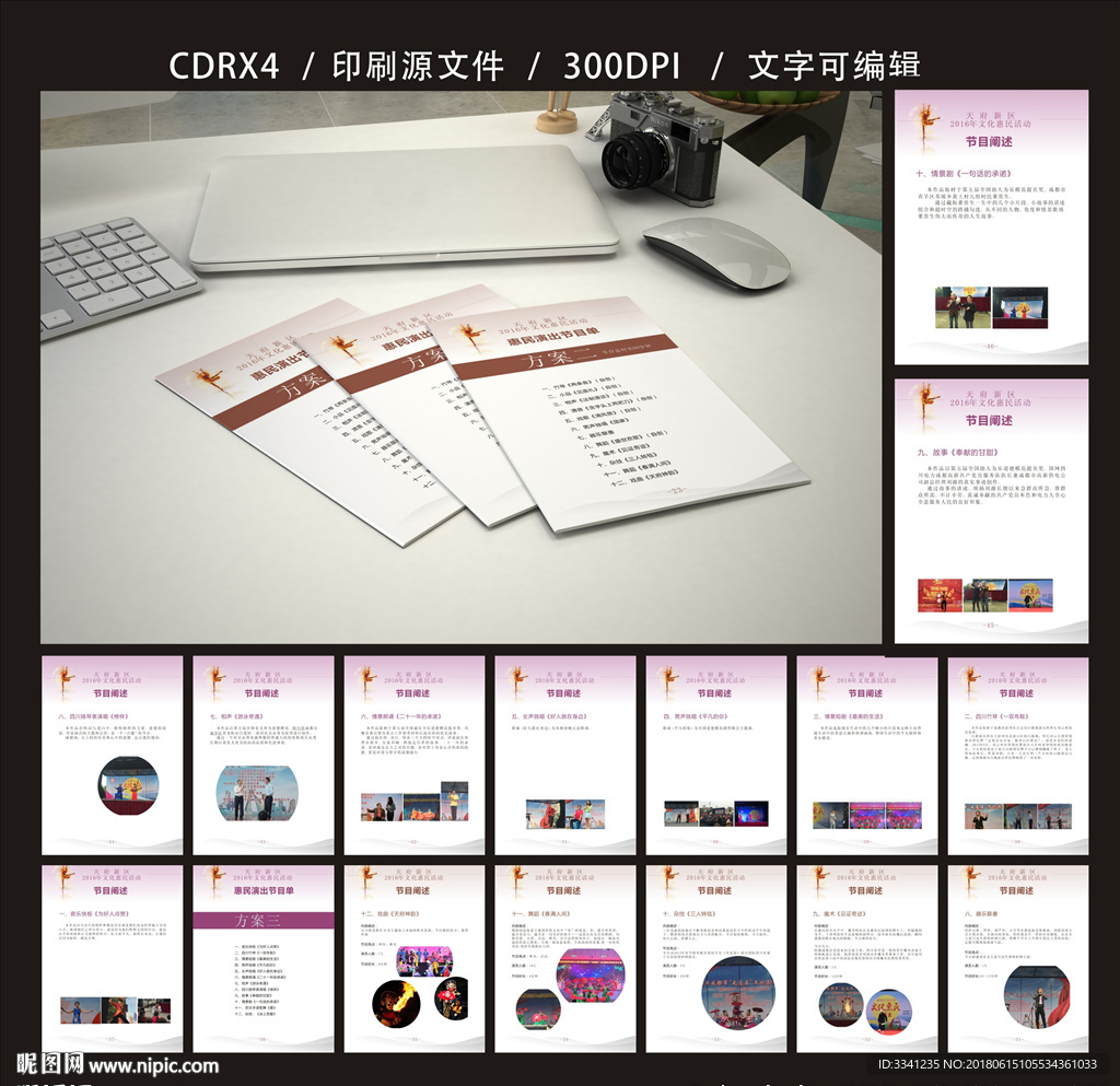 天府新区 方案二 平面图