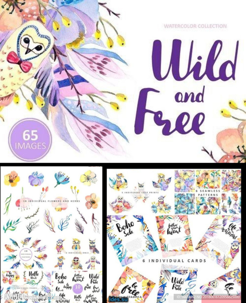 水彩羽毛可爱猫头鹰花卉植物图案