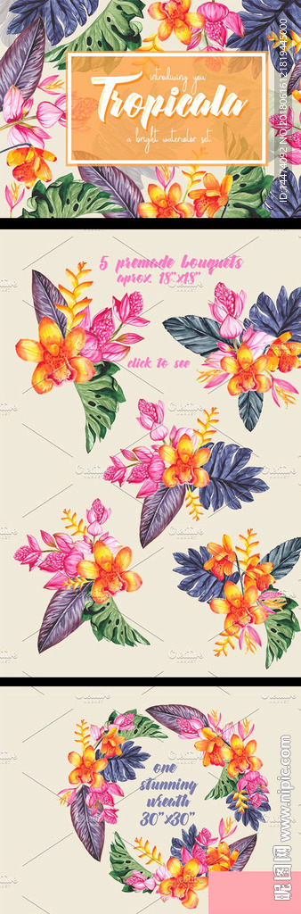 水彩热带植物图案插画设计