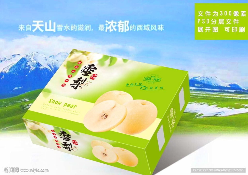 雪梨