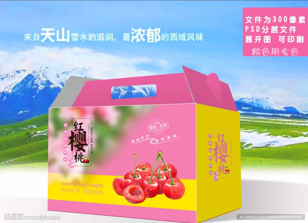 樱桃包装