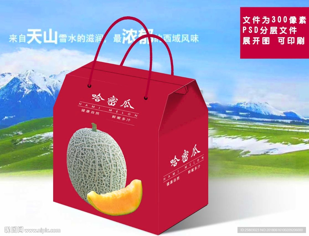 哈密瓜文件为展开图可印刷