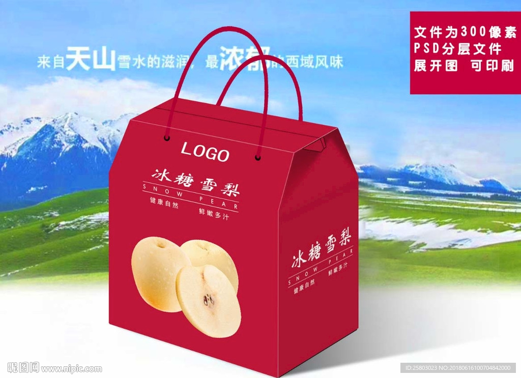雪梨文件为展开图可印刷
