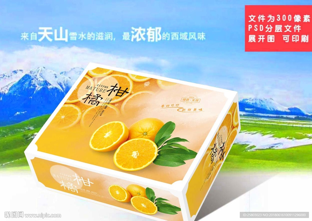 橘子