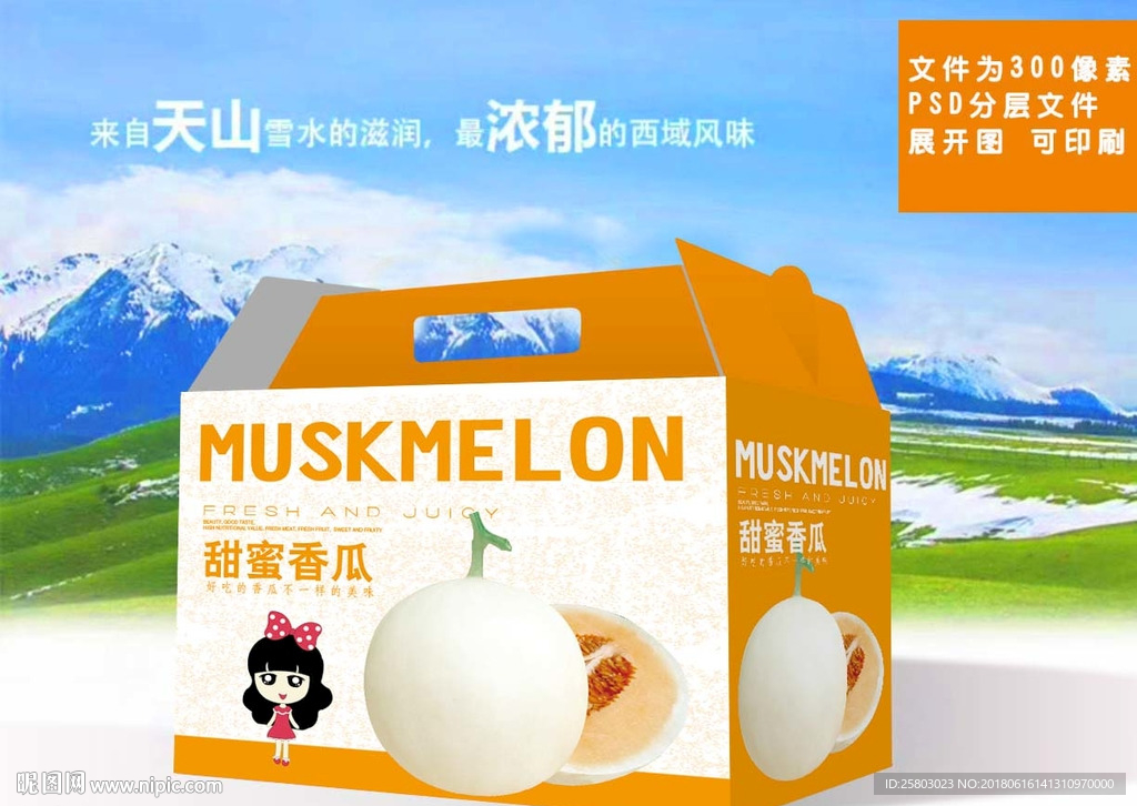 香瓜包装  礼盒  手提箱