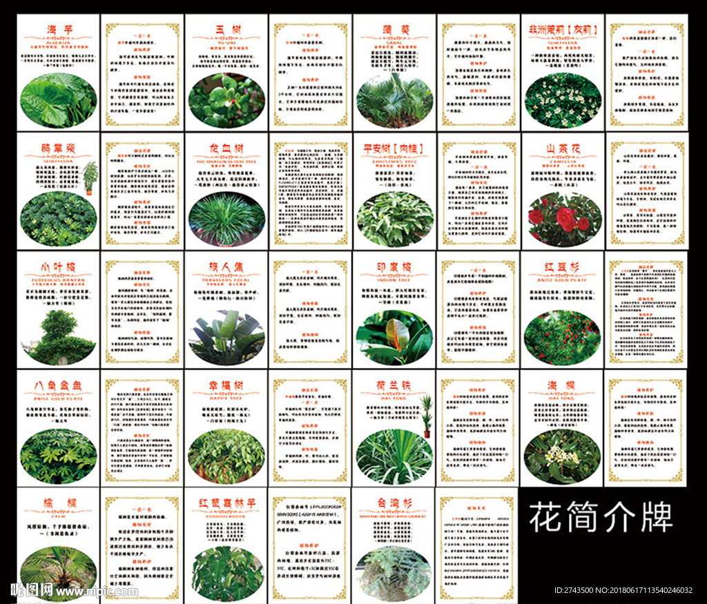 花草简介牌 值物介绍牌