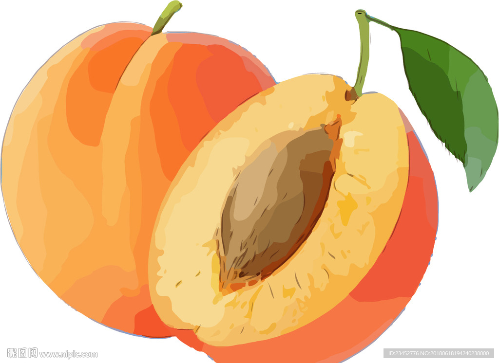 桃子 矢量手绘素材