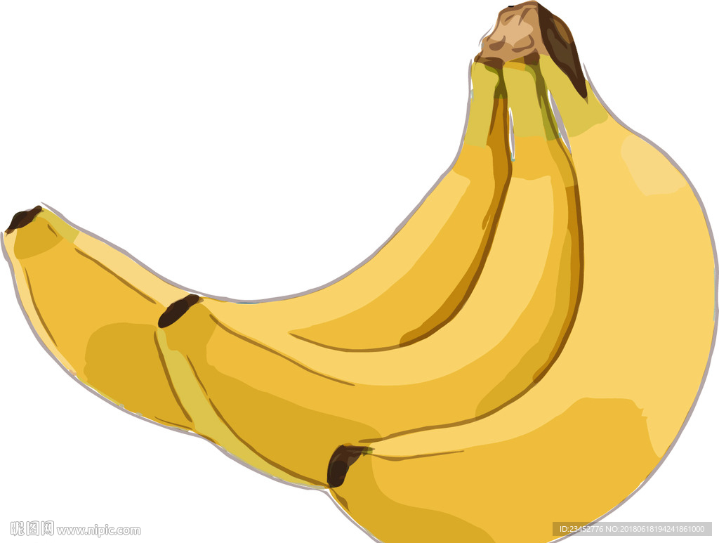 香蕉 矢量手绘素材